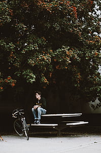adulto, bicicleta, bicicleta, luz do dia, meio ambiente, Outono, homem