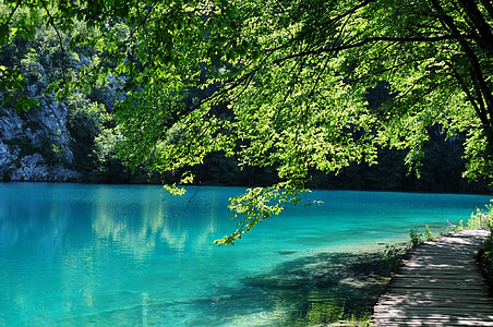 Plitvička jezera, Hrvatska, vode, zelena, parka, jezero, šuma
