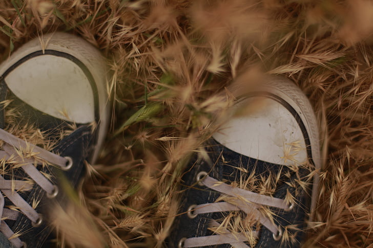 pair, black, white, sneakers, brown, grass, converse shoes
