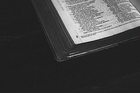 Bible, en noir et blanc, flou, livre, gros plan, document, mise au point