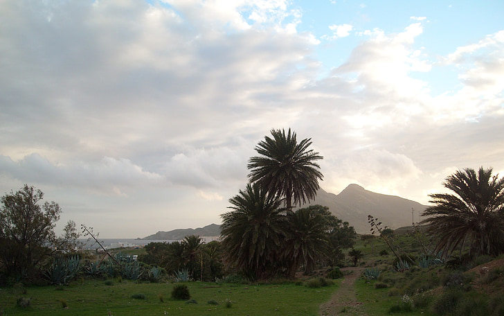 nationaal park, Cabo de gata, Spanje, zee, geboekt, rest, idylle