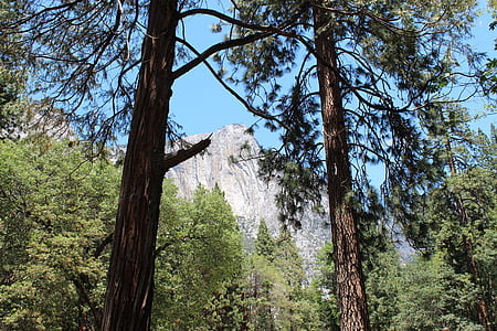 πάρκο Yosemite, Yosemite, εθνικό πάρκο Yosemite, μας, Σαν Φρανσίσκο, δάσος, βουνό
