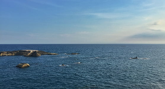 Южнокитайско море, каменна парк, синьо, море, вода, хоризонт над водата, scenics