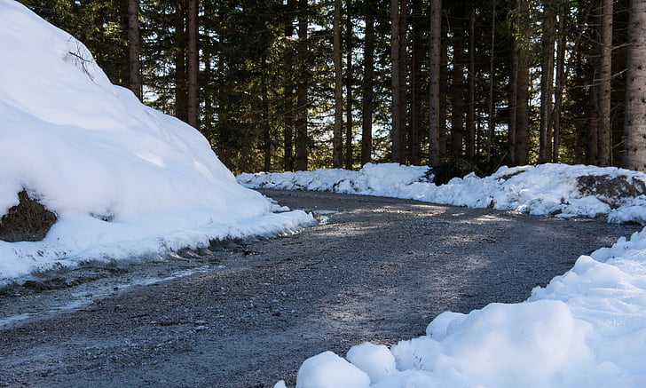 carretera, l'hivern, hivernal, bosc, camí del bosc