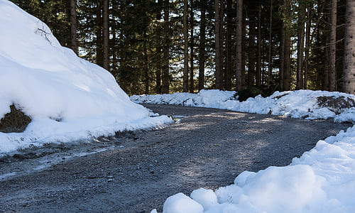 Road, talvi, Talvinen, Metsä, metsän polkua