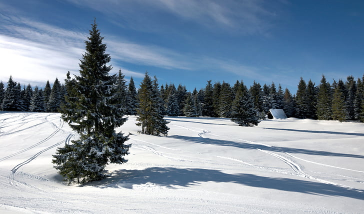 ainava, ziemas, meža, kalni, beskids, sniega, Polija
