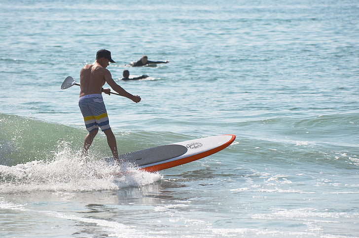 surfing, paddle board, ocean, man
