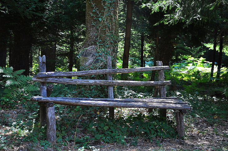 Wald, Sitzbank, Park, Natur, Baum, Holz - material, im freien