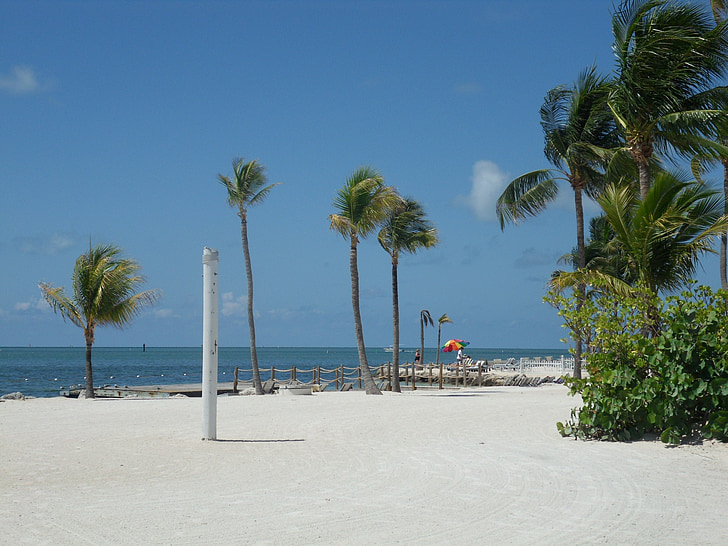 Key west, plage, sable, arbres de noix de coco, Mar, ciel bleu