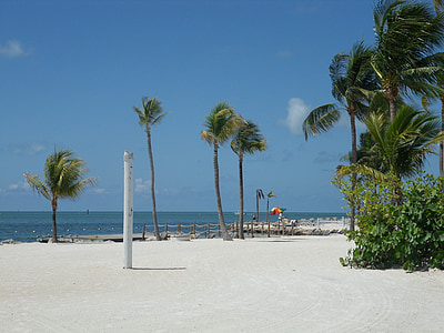 Key west, pláž, písek, kokosové palmy, březen, modrá obloha