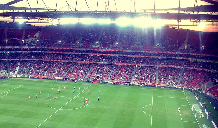 Stadium, fotboll, Benfica, spelare, Portugal, Lissabon