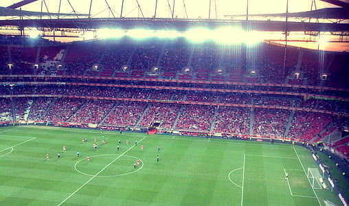 Stadion, Fußball, Benfica, Spieler, Portugal, Lissabon