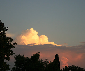 white cloud, tree silhouette, landscape, evening, sky, nature, cloudscape