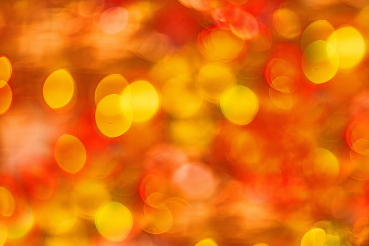 color, red, yellow, macro, close-up, color image, horizontal