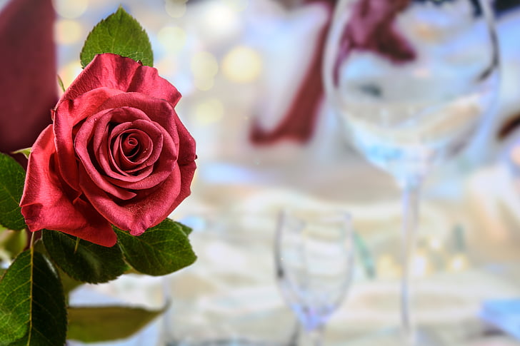 večerja, rdečo vrtnico, ljubezen, praznik je, poročno potovanje, večer, zakonske zveze