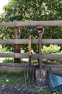 ásó, lapát, mezőgazdasági eszközök, eszközök, Farm