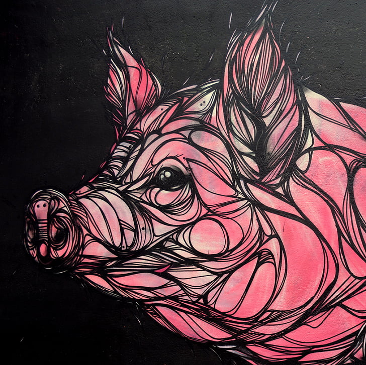 porc, animal, mamífer, obra d'art, graffiti, dibuix, mural