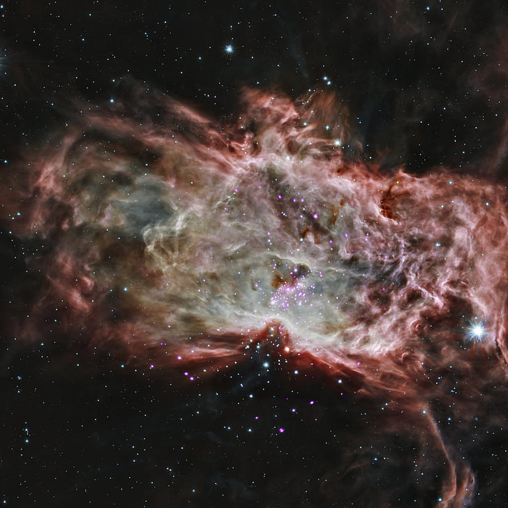 Láng-köd, csillaghalmaz, NGC 2024, csillagos, por, Cosmos, hely