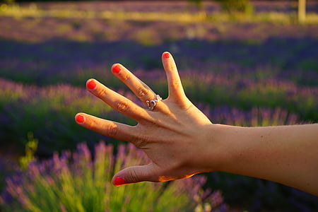 roka, pirkstu, pirksta gredzenu, mīlu, sarkani krāsotas, lakots, sarkana