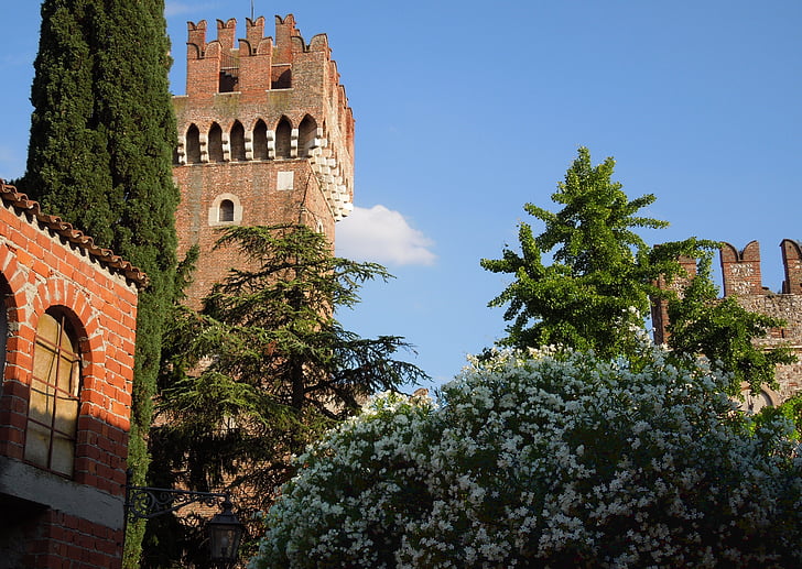 Italia, Castle, rhododendron, musim panas, langit biru, menara batu bata
