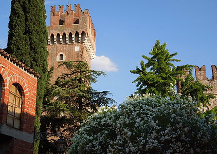 Italien, Castle, Rhododendron, sommer, blå himmel, mursten tower