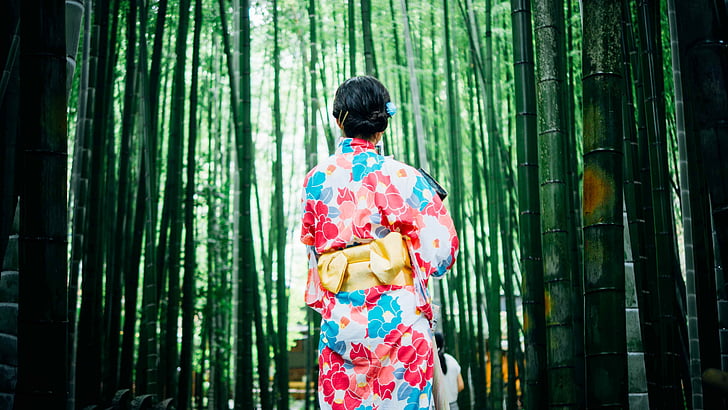bambustrær, jente, kimono, utendørs, trær, kvinne, bakfra