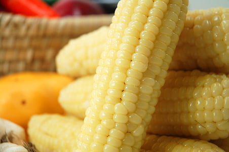 kukorica, gabona, snack, élelmiszer, enni, zöldség, élelmiszer-fotózás