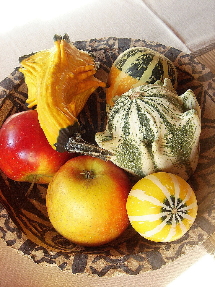 Outono, cores, frutas, forma, Apple, abóbora, decoração