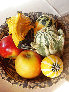 automne, couleurs, fruits, forme, pomme, citrouille, décoration
