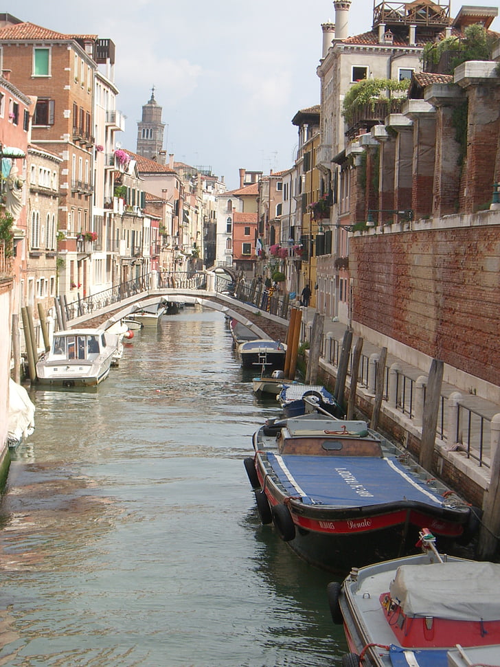 Venezia, våren, kanal, skipet