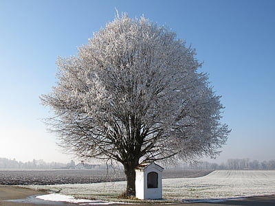 дърво, Фрост, скреж, утринното слънце, параклис, Бавария, пейзаж