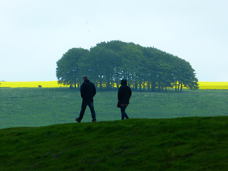 Прогулка, пейзаж, релаксация, Природа, дерево деревья, Грин, Англия