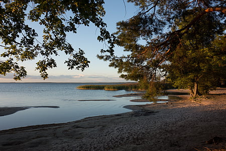 lakeside, evening light, müritz, bank, landscape, trees, beach