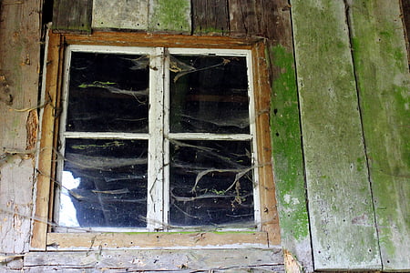 vindue, træ Vinduer, træ, gamle vindue, facade, træ facade, hauswand