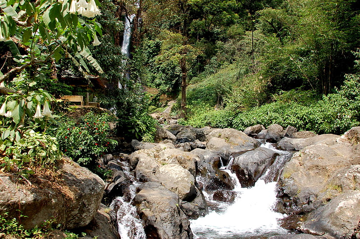 vattenfall, Bali, naturen, ljusa, landskap