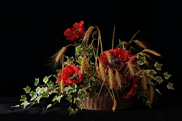 poppy, flowers, wheat, red, campaign, nature, vegetation