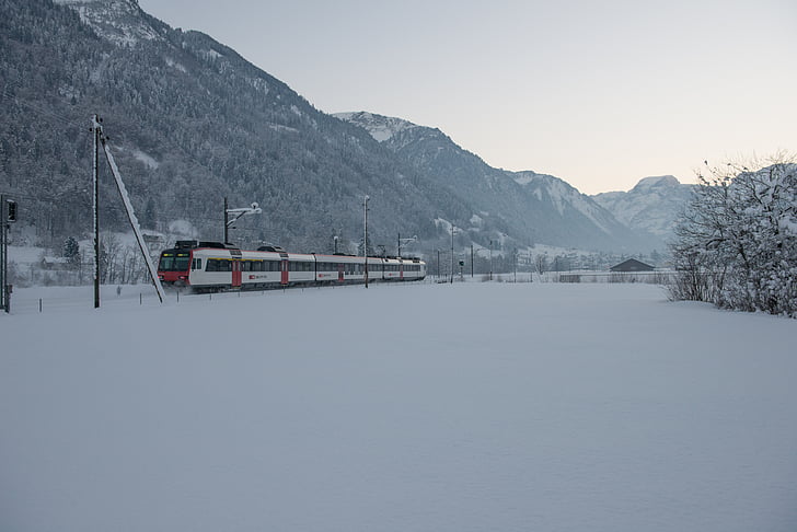 Vinter, tog, jernbane, snø, syntes, Sveits, alpint