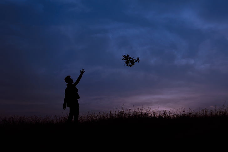 silhouette, picture, male, throwing, plant, flower, grass