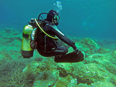 Scuba diver, Scuba, duiker, PADI, water, onderwater, zee