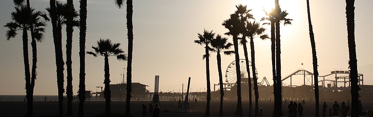 Beach, kohtaus, siluetti, palmuja, Santa monica, Pier, California
