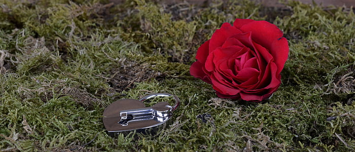 steg, hjerte, Castle, nøgle, åbne, rød, røde rose