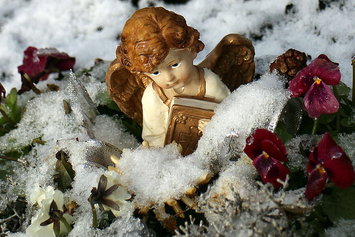 взимку, сніг, Ангел, квіти, занесені, іній, Сніжне