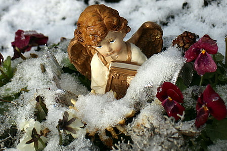 vinter, snö, ängel, blommor, insnöat, Frost, snöig