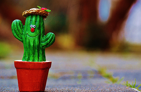 cactus, sombrero de paja, cara, gracioso, lindo, cara divertida, decoración