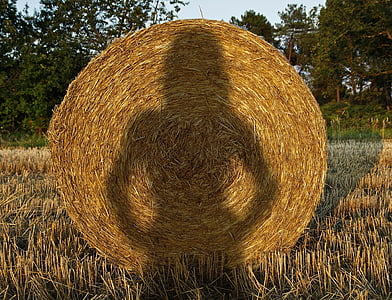 silhouette, sexy, erotic, silhouettes, girl, bale, hay