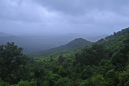 forêt tropicale, Ghâts occidentaux, Parc national de Mollem, montagnes, végétation, Goa, Inde