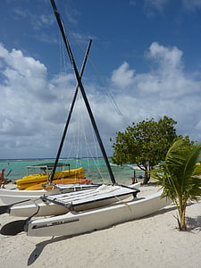 Guadeloupe, boot, strand, blauw, zand, zee, Bladeren