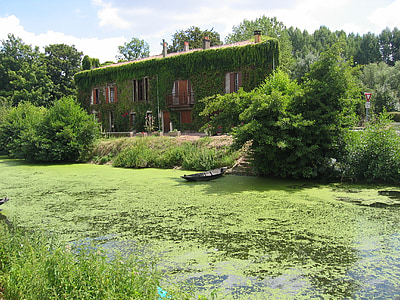 Grün, Vegetation, idyllische, ruhig, Frankreich, Seitenarm, überwuchert