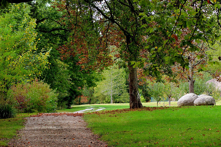 Parque, árvore, jardim, folhas, com base em, Outono
