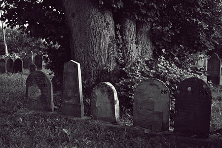 kirkegård, jødiske, gravsten, gravsten, grav, død, spooky